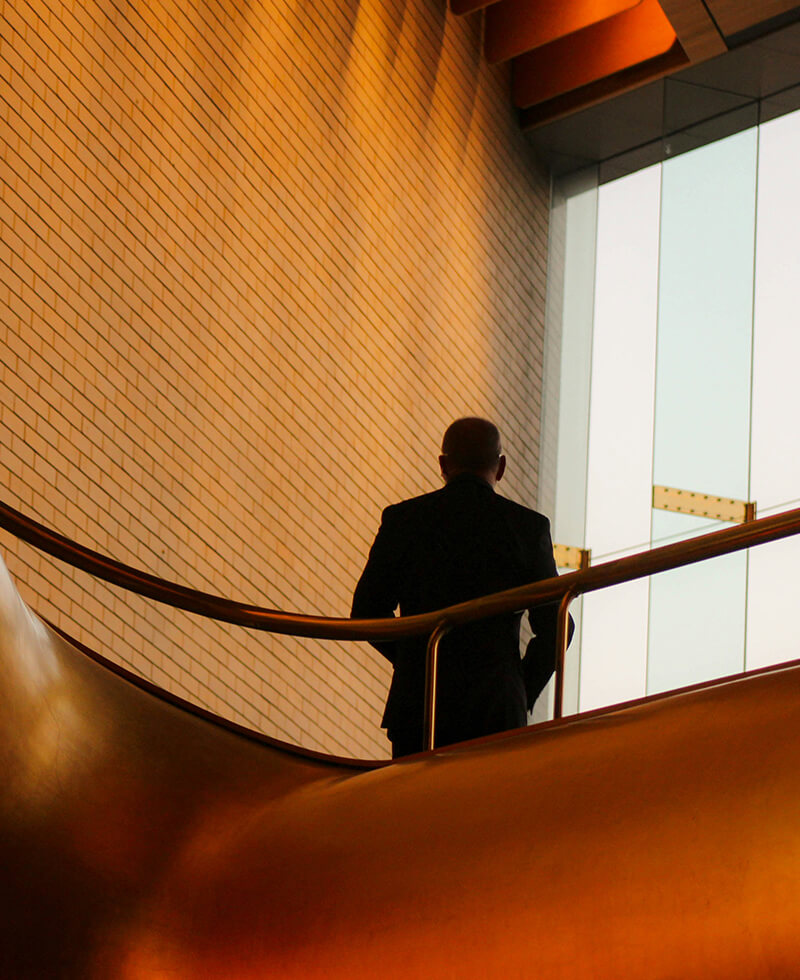 IT Consultancy & Solution